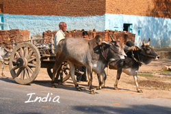 India