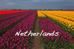 Netherlands