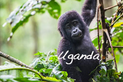 Uganda